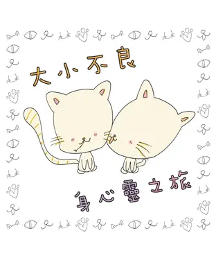 書封 大小不良身心靈之旅